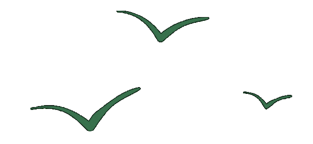 公路養(yǎng)護(hù)月度考核_路況_養(yǎng)護(hù)工區(qū)安全檢查