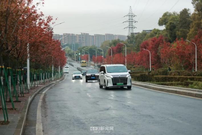 雨雪天氣 哈爾濱交警 出行安全_出行提示
