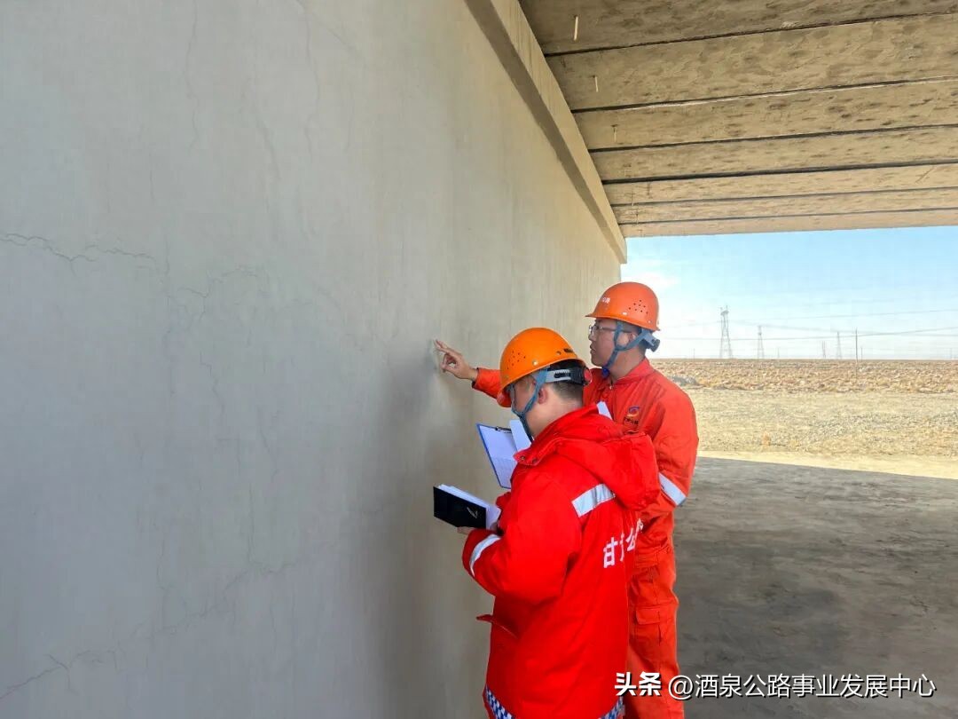 路況調查_路況_病害分析