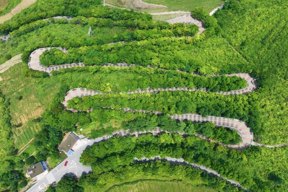 農(nóng)村道路交通安全提示_出行提示_駕駛?cè)顺鲂邪踩?/></p>

<p>駕駛?cè)似?/p>
<p>農(nóng)村道路出行安全提示</p>
<p>出車之前要對車況展開檢查，圍繞車輛走上一圈，對胎壓進(jìn)行檢查，對燈光加以檢查，對剎車予以檢查，以此來保證車況處于良好的狀態(tài)。</p>
<p>第②點(diǎn)，一盔一帶，安全常在，不管是駕駛小轎車，還是乘坐車輛當(dāng)中的前排，或者后排，所駕乘人員都必須系好安全帶，騎乘摩托車、電動(dòng)車時(shí)，請正確佩戴合格的安全頭盔，對于拖拉機(jī)、三輪車，車尾務(wù)必一定要貼好反光貼，用以提示后車避開避免追尾。</p>

<p>要守法，做到文明出行，不進(jìn)行無證的駕駛行為，不酒后駕車，不超員超載，不非法載人，不疲勞駕駛，遵守交通安全法律法規(guī)，從而文明出行 。</p>
<p>④駕車出行之際，心態(tài)需保持那種平和的狀態(tài) ，視線要朝著遠(yuǎn)處去放 。碰到農(nóng)用車 ，碰到三輪車 ，要懷揣耐心去跟隨 ，挑選安全地段之后再超車 。路過村口時(shí) ，經(jīng)過路口時(shí) ，穿過巷口時(shí) ，務(wù)必要提前降低速度 ，并且鳴響喇叭 。</p>

<p>行人篇</p>
<p>農(nóng)村道路出行安全提示</p>
<p>步行之際，當(dāng)盡可能游走于硬化路面之邊緣地帶或者專門設(shè)置之人行通道上面，需避開那些存在坑洼以及破損狀況的路段，并且要沿著邊緣行走；而當(dāng)路過路口、彎道、坡頂?shù)葘儆谝暰€盲區(qū)的區(qū)域之時(shí)，務(wù)必要格外留意進(jìn)行觀察。</p>
<p><img src=