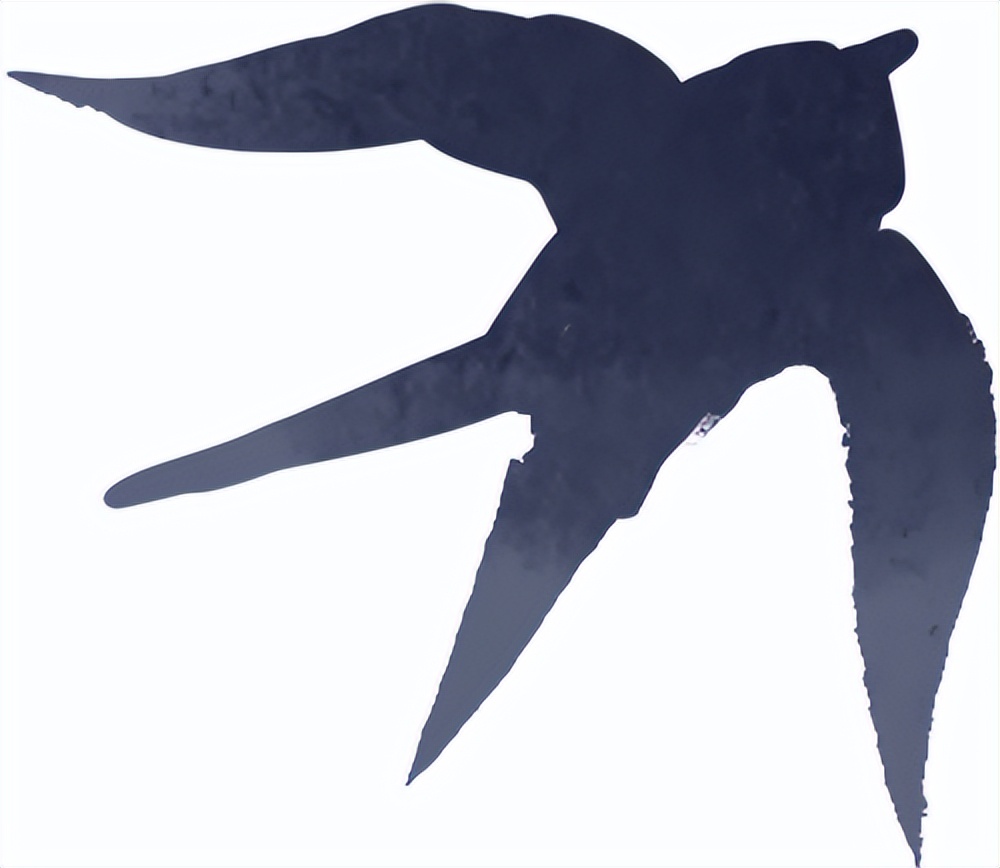 出行提示_秋季雨霧行車(chē)安全_雨霧天氣駕駛注意事項(xiàng)