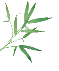 出行提示__ 黃岡端午節(jié)出行安全 