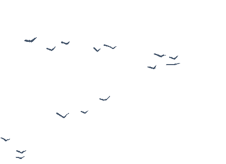 寫簡短的溫馨的出行提示_出行提示_出行提示圖片
