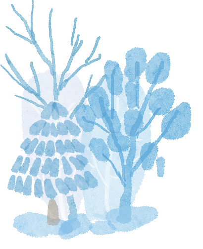 冬季雪霧天氣行車安全_冰雪路面駕駛技巧_出行提示