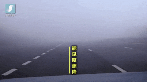出行提示_霧天行車(chē)安全注意事項(xiàng)_大霧天氣駕車(chē)安全指南