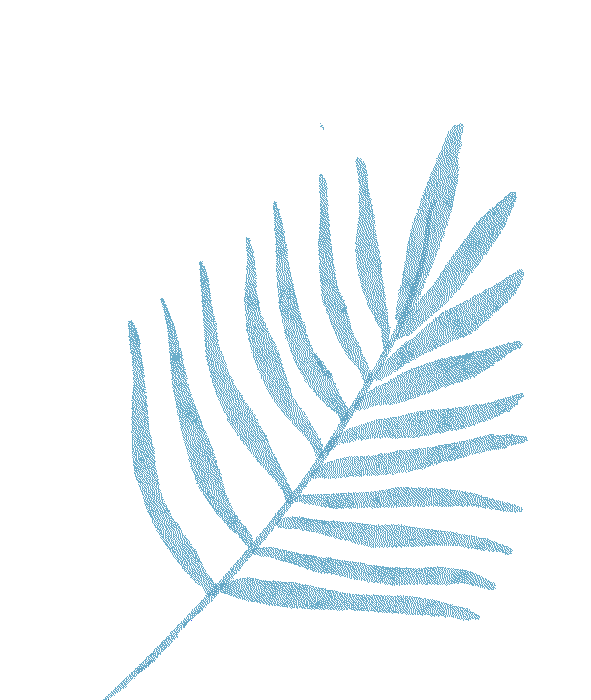 出行提示_明顯降雪天氣預(yù)報_大風(fēng)降溫天氣預(yù)報